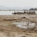 Driftwood on a muddy beach with a log pile in the water; birds perch along the logs, hills in the distance.