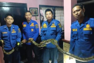 Four men in blue rescue uniforms indoors, holding a long snake together across a railing.