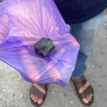 Person wearing sandals holds a crinkled purple plastic bag with a small black object on top, standing on a sidewalk.