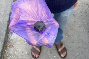 Person wearing sandals holds a crinkled purple plastic bag with a small black object on top, standing on a sidewalk.