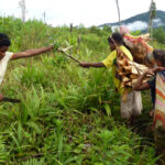 Suku Muyu di Kabupaten Boven Digoel, Papua Selatan dan Suku Ngalum di Oksibil, Kabupaten Pegunungan Bintang masih mempertahankan tradisi ibu melahirkan di luar rumah.
