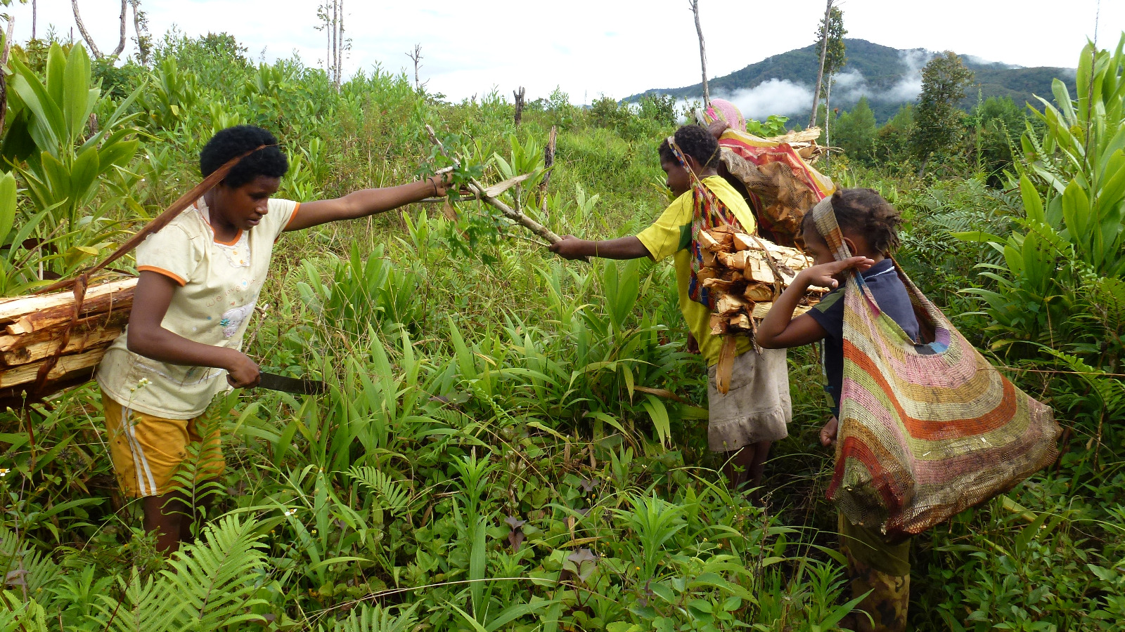 Suku Muyu di Kabupaten Boven Digoel, Papua Selatan dan Suku Ngalum di Oksibil, Kabupaten Pegunungan Bintang masih mempertahankan tradisi ibu melahirkan di luar rumah.