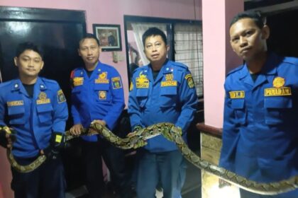 Four men in blue rescue uniforms indoors, holding a long snake together across a railing.