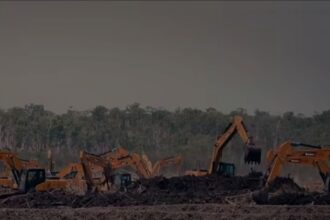 Several orange excavators work on a dirt site with a large pile of debris in the foreground, trees in the background.