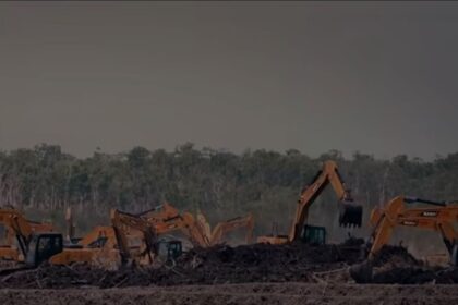 Several orange excavators work on a dirt site with a large pile of debris in the foreground, trees in the background.