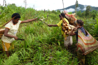 Suku Muyu di Kabupaten Boven Digoel, Papua Selatan dan Suku Ngalum di Oksibil, Kabupaten Pegunungan Bintang masih mempertahankan tradisi ibu melahirkan di luar rumah.