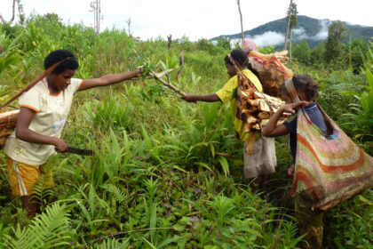 Suku Muyu di Kabupaten Boven Digoel, Papua Selatan dan Suku Ngalum di Oksibil, Kabupaten Pegunungan Bintang masih mempertahankan tradisi ibu melahirkan di luar rumah.