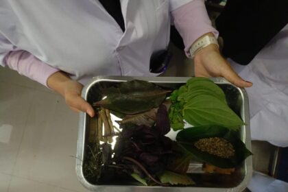 Person holding a metal tray filled with assorted fresh and dried leaves and stems used for herbs or plants.