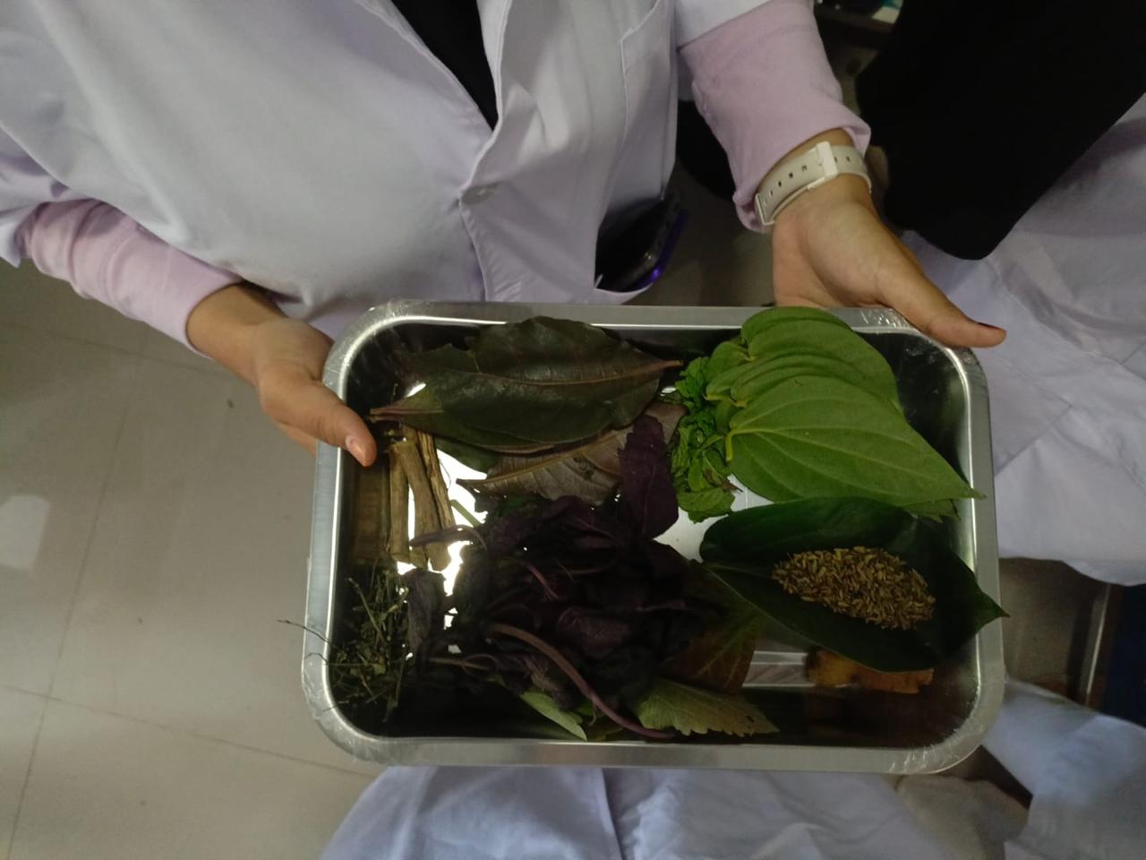 Person holding a metal tray filled with assorted fresh and dried leaves and stems used for herbs or plants.